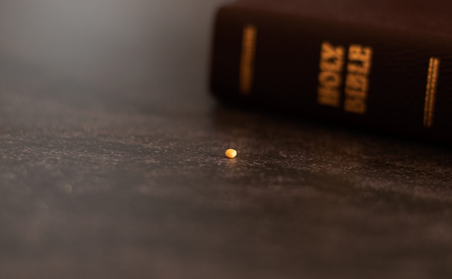 A Closeup Of Mustard Seed With Closed Holy Bible On A Dark Background   Mustard Seed 1500x926 