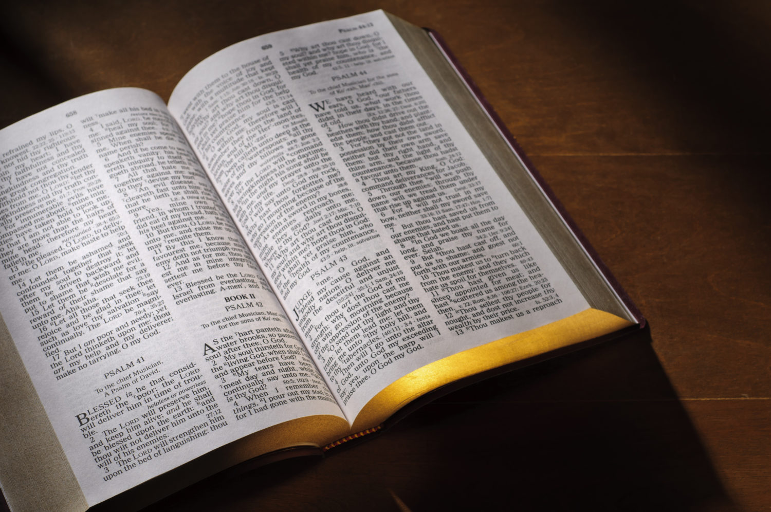 What Is Reformed Preaching? | Gospel Reformation Network